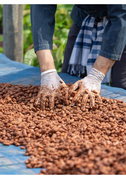 Nikaragua Ingemann Chuno Kavrulmuş Kakao Çekirdeği 100G