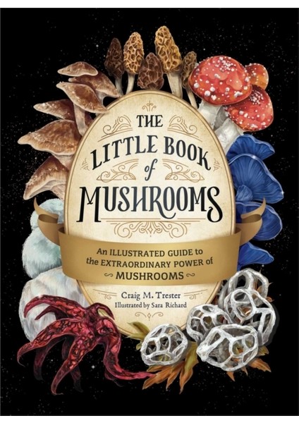 The Little Book Of Mushrooms : An Illustrated Guide To The Extraordinary Power Of Mushrooms - Alex Dorr