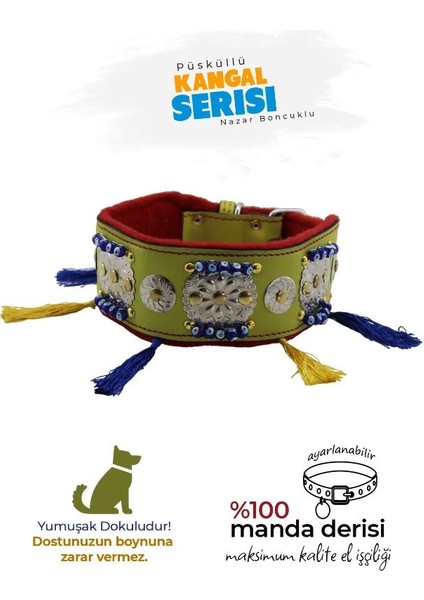 MgTasma Püsküllü Deri Boyun Tasması, Sivas Kangalı, Malaklı, Çoban Köpeği, Akbaş, Kangal Köpek Tasması Yeşil