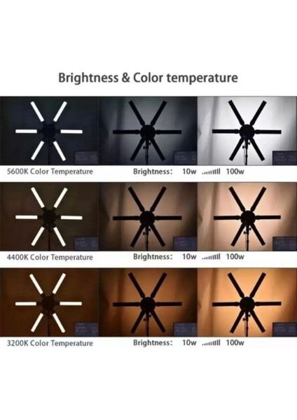 BLD-34 Ring Light 6 Tüp Reklam Makyaj Model Profesyonel Yıldız LED Stüdyo Çekim Fotoğraf Işığı fırsatları