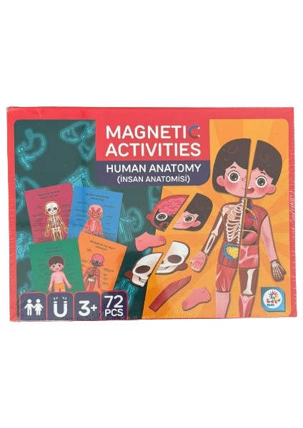 Laço Kids Manyetik Insan Anatomisi Aktivite Oyun Seti LC8543