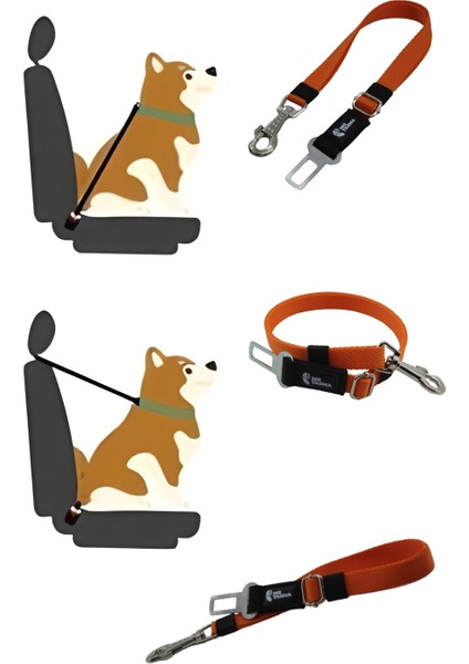 MgTasma Evcil Hayvan Araç Emniyet Kemeri Kedi Köpek Araba Oto Tasması Kedi Köpek Emniyet Kemeri Turuncu