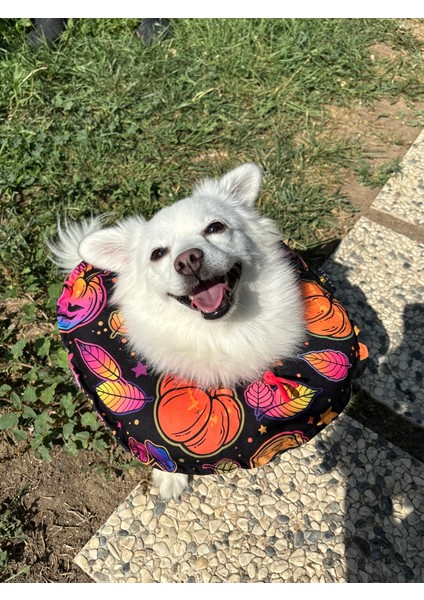 Kedi ve Köpek Boyunluk-Elizabeth Yakalık Operasyon Boyunluk-Kedi Boyun Yastığı(Özel Kumaş)Halloween