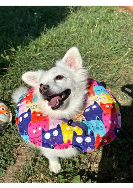 Kedi-Köpek Boyunluk-Elizabeth Yakalık Operasyon Boyunluk-Kedi Boyun Yastığı(Özel Kumaş)Mor Kediler