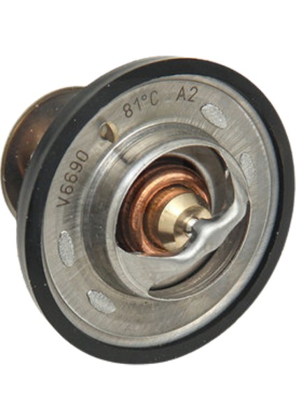 Termostat (Volvo Oe Referans Numarası: 3831424, 467015, 876128, 875849, 273952)