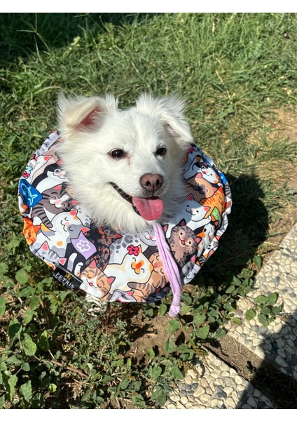 Kedi ve Köpek Boyunluk-Elizabeth Yakalık Operasyon Boyunluk-Kedi Boyun Yastığı(Özel Kumaş)Miyav Gücü fırsatları