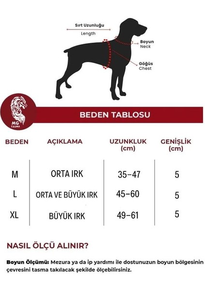 MgTasma Yumuşak Dokulu Kolon Köpek Tasması, Köpek Boyun Tasması 5 cm Gri