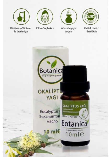 Okaliptus Yağı - Eucalyptus Globulus - Stres - Gerginlik Azaltma Aromatherapy Uçucu Yağ