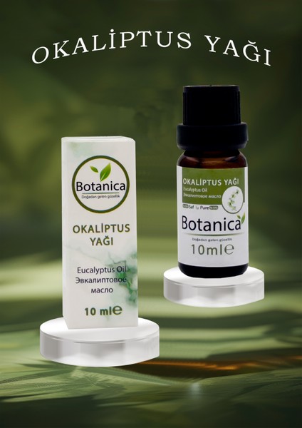 Okaliptus Yağı - Eucalyptus Globulus - Stres - Gerginlik Azaltma Aromatherapy Uçucu Yağ