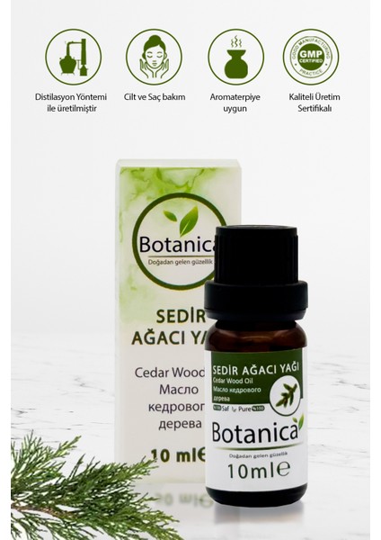 Sedir Ağacı Yağı - Cedrus Atlantica - Arındırıcı - Odak Artırıcı Aromaterapik Uçucu Yağ