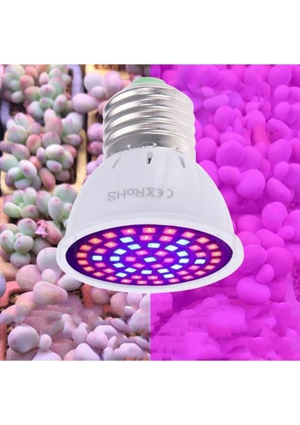 Tam Spektrum Bitki Büyütme 48 LED Lamba E27 Duy 220V 9W