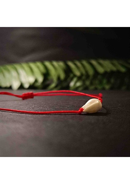 Deniz Kabuğu Makrome Örgü Bileklik