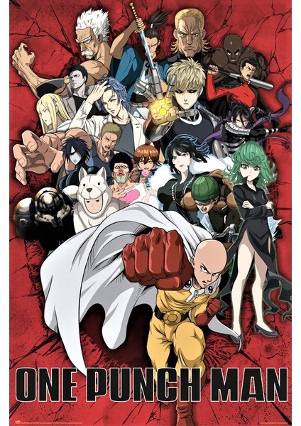 One Punch Man Heroes Maxi Poster