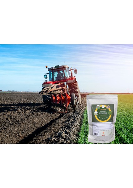 Leonardit 1500 Gr Çok Amaçlı Toprak Düzenleyici