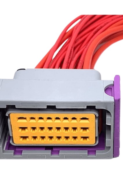 (Delphi) Lpg Beyin Soketi Gri 24 Pin