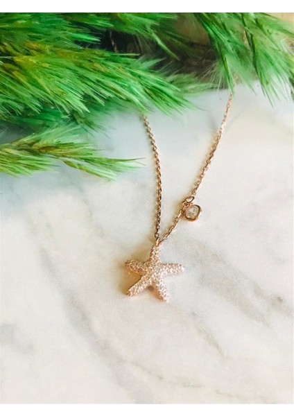 Deniz Yıldızı Kolye fiyatları