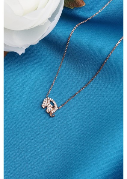 Fil Şans Kolye fiyatları