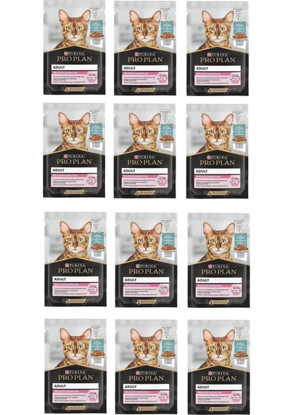 Pouch Delicate Okyanus Balıklı Yetişkin Kedi Yaş Mama 85 Gr. x 12 Adet