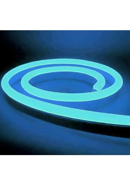 25 Metre Ct 4455 12V Neon LED Hortum Buz Mavisi fiyatları