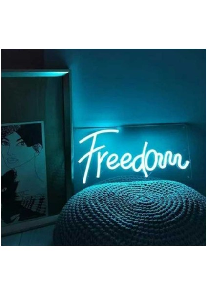 50 Metre Ct 4455 12V Neon LED Hortum Buz Mavisi