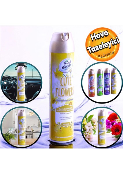 Araba Araç Otomobil Oto Ev Oda Ofis Otel Koku Parfüm Sprey Passion Temiz Hava Kokusu 300 ml