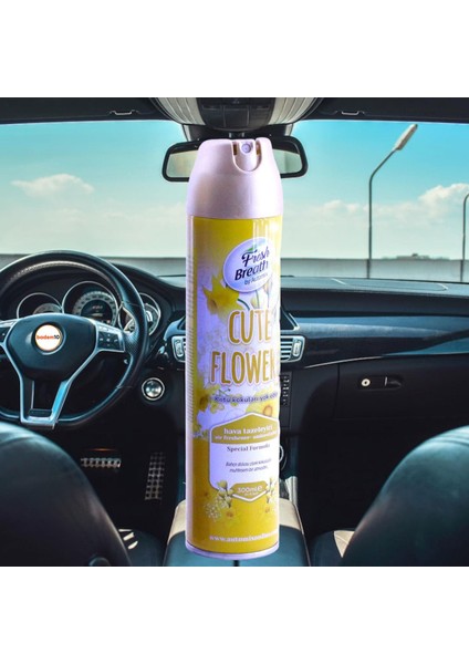 Araba Araç Otomobil Oto Ev Oda Ofis Otel Koku Parfüm Sprey Passion Temiz Hava Kokusu 300 ml indirimleri