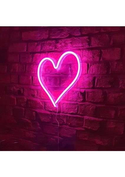 25 Metre Cata Ct 4455 12V Neon LED Hortum Pembe