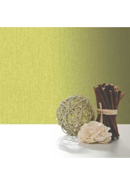 Fıerte Fransız Duvar Kağıdı J600-04 (5m2)