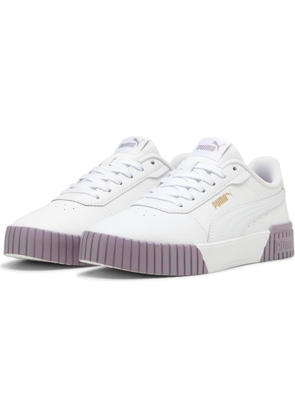 Carina 2.0 modelleri