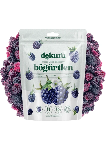 Böğürtlen Kuru Meyve Cipsi - Dondurularak Kurutulmuş Freeze Dried Çıtır Böğürtlen