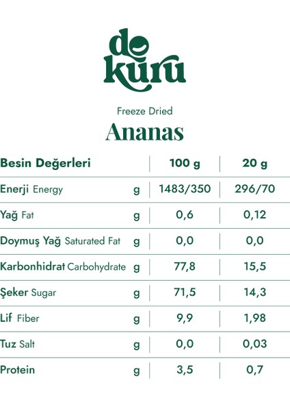 Ananas Kuru Meyve Cipsi - Dondurularak Kurutulmuş Freeze Dried Çıtır Ananas