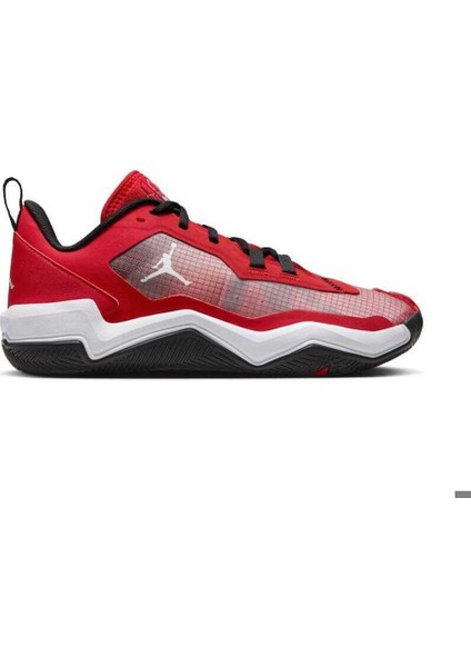 Jordan One Take 4 Erkek Basketbol Ayakkabısı DZ3338-600