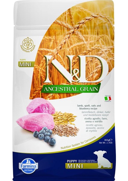 Ancestral Grain Kuzu, Kılçıksız Buğday, Yulaf & Yabanmersini Puppy Mini