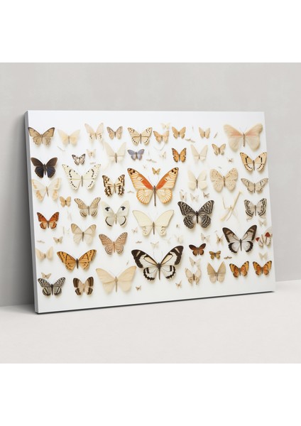 Kurutulmuş Kelebekler Fotogerçekçi Koleksiyon Kanvas Duvar Dekorasyonu - Kurutulmuş Kelebekler, Kelebek Duvar Sanatı, Duvar Sanatı, Duvar Dekorasyonu, 50X30