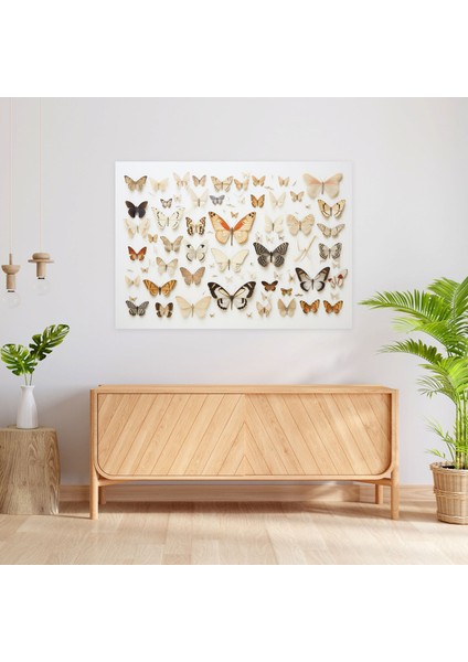 Kurutulmuş Kelebekler Fotogerçekçi Koleksiyon Kanvas Duvar Dekorasyonu - Kurutulmuş Kelebekler, Kelebek Duvar Sanatı, Duvar Sanatı, Duvar Dekorasyonu, 50X30 fiyatları