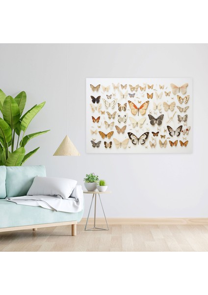 Kurutulmuş Kelebekler Fotogerçekçi Koleksiyon Kanvas Duvar Dekorasyonu - Kurutulmuş Kelebekler, Kelebek Duvar Sanatı, Duvar Sanatı, Duvar Dekorasyonu, 50X30 modelleri