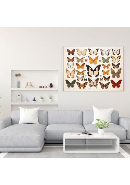 Kurutulmuş Kelebekler Fotogerçekçi Koleksiyon Duvar Dekorasyonu - Kurutulmuş Kelebekler, Sanatsal Ev Dekorasyonu, Duvar Dekorasyonu, Kelebek Duvar Süslemesi, 50X30 fiyatları