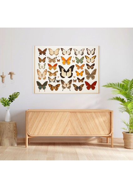 Kurutulmuş Kelebekler Fotogerçekçi Koleksiyon Duvar Dekorasyonu - Kurutulmuş Kelebekler, Sanatsal Ev Dekorasyonu, Duvar Dekorasyonu, Kelebek Duvar Süslemesi, 50X30 modelleri