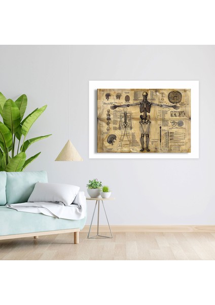 Leonardo Da Vinci Canvas Print - Scientific Diagram Of Human Anatomy - Leonardo Da Vinci, Leonardo Da Vinci, Canvas Print, Wall Art, 50X30