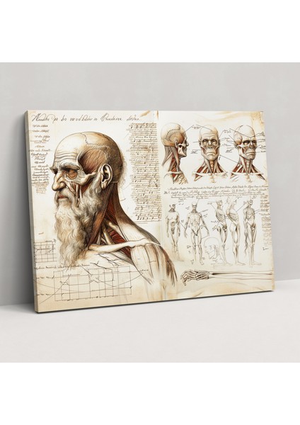 Leonardo Da Vinci Canvas Print - Anatomy Studies Wall Art - Leonardo Da Vinci, Wall Decoration, Leonardo Da Vinci, Canvas Print, 50X30