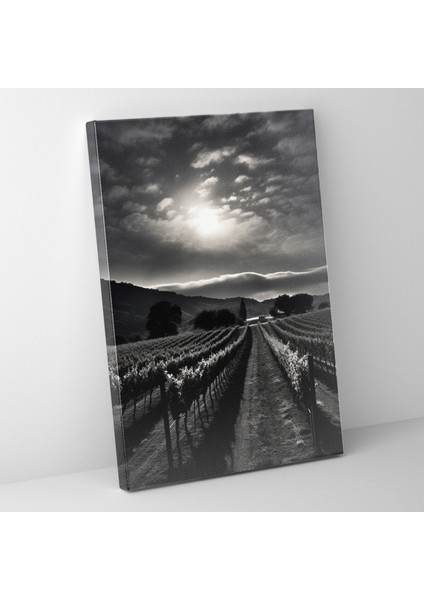 Şarap Duvar Tablosu - Mehtaplı Bağ - Şarap, Kanvas Tablo, Mehtaplı Üzüm Bağı Kanvas Tablo, Şarap Duvar Tablosu, 30X50