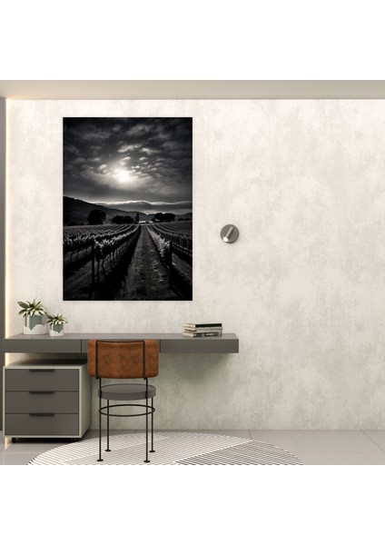 Şarap Duvar Tablosu - Mehtaplı Bağ - Şarap, Kanvas Tablo, Mehtaplı Üzüm Bağı Kanvas Tablo, Şarap Duvar Tablosu, 30X50