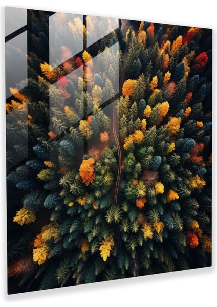 Hava Yaprakları Cam Baskı - Yapraklar, Ormanlar, Yapraklar, Doğa, 30X30