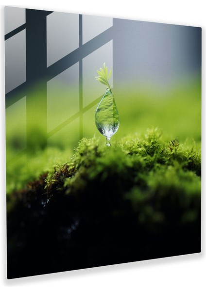 Taze Yosun Cam Baskı - Yosun, Yosun, Tek Damla Su, Ev Dekorasyonu, 30X30