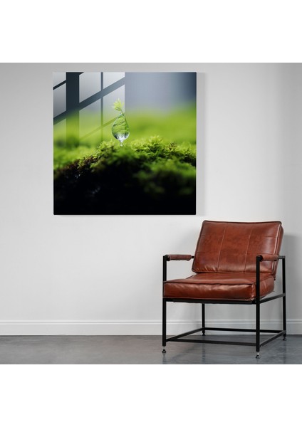 Taze Yosun Cam Baskı - Yosun, Yosun, Tek Damla Su, Ev Dekorasyonu, 30X30 modelleri