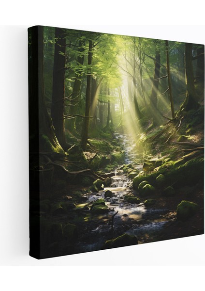 Huzurlu Orman Temizliği Kanvas Tablo - Yosun, Kanvas Tablo, Duvar Dekorasyonu, Ev Dekorasyonu, 30X30