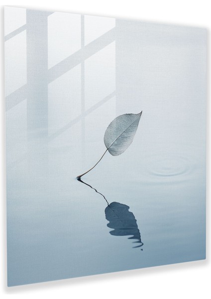 Yapraklar Ev Dekorasyonu - Yapraklar, Minimalist Fotoğrafçılık, Modern Sanat, Yapraklar, 30X30