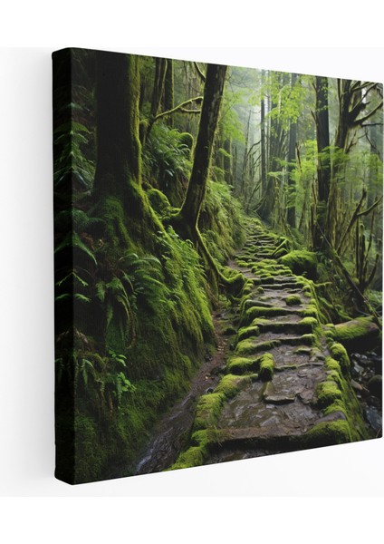 Yosun Duvar Dekorasyonu - Yosun, Doğanın Harikaları, Kanvas Tablo, Ev Dekorasyonu, 30X30