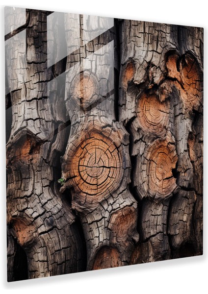 Dokulu Hayat Ağacı Cam Baskı - Hayat Ağacı, Cam Duvar Sanatı, Fotoğraf, Cam Baskı, 30X30