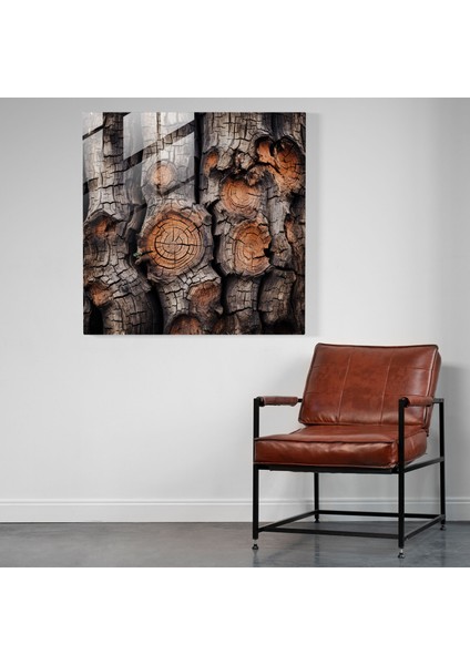 Dokulu Hayat Ağacı Cam Baskı - Hayat Ağacı, Cam Duvar Sanatı, Fotoğraf, Cam Baskı, 30X30 modelleri